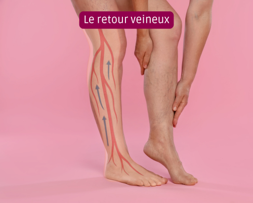 Le retour veineux